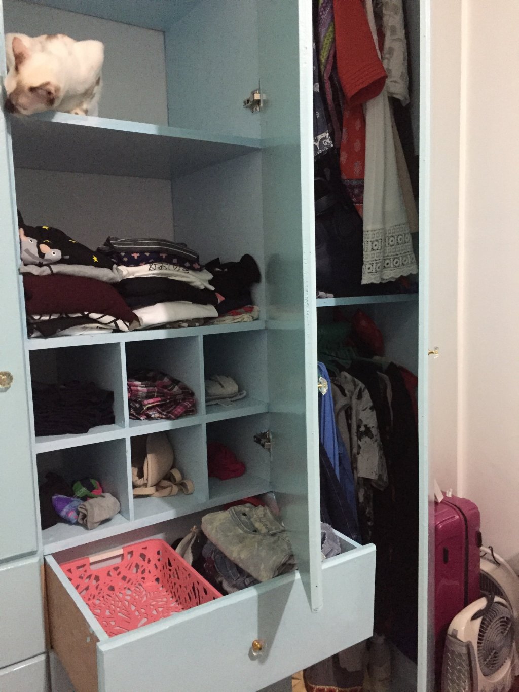 Purging My Closet + Recos for Basic&nbsp;Essentials!