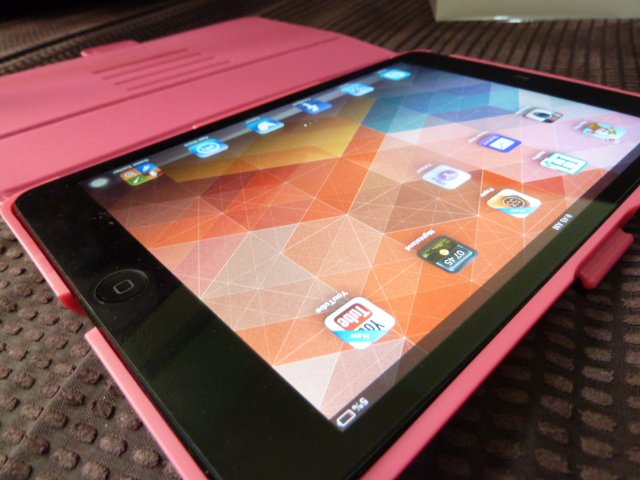 An iFul of iPad Mini